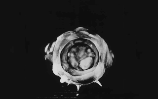 Illustration for article titled La devastadora potencia de las pruebas nucleares, en fotos